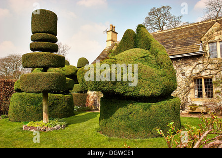 Topiaria da in Yew nel giardino del detentore's Cottage a Haddon Hall nel Derbyshire Foto Stock