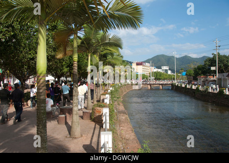 Passeggiata lungo il fiume con palme, Jiangcheng, Pu'er City, nella provincia dello Yunnan, Repubblica Popolare di Cina Foto Stock