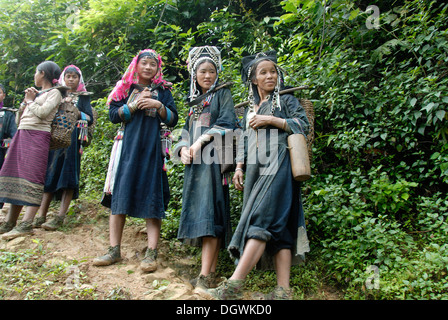 La povertà, giovani donne del Akha Nuqui gruppo etnico con cestelli porta nella giungla, abito tradizionale, colore indaco, Foto Stock