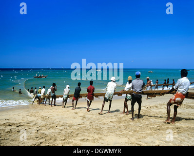 I pescatori tirando una rete da pesca sulla spiaggia, Beruwala, Kalutara Distrikt, Sri Lanka Foto Stock