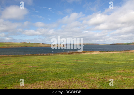 Isole di Orkney, Scozia. Una vista pittoresca del Widewall Bay con il villaggio di Herston al centro dell'immagine. Foto Stock