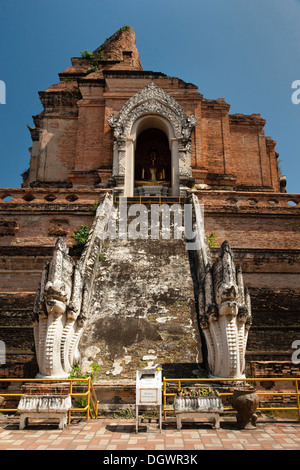 Naga scalinata, le rovine del tempio di Wat Chedi Luang, Chiang Mai, Thailandia del Nord della Thailandia, Asia Foto Stock