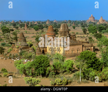 Campo di rovine di pagode e templi buddisti, Ebene von pagana, Bagan, Mandalay Division, MYANMAR Birmania Foto Stock