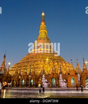 Shwedagon pagoda al crepuscolo, stupa dorato con golden chedis, Rangun, Regione di Yangon, MYANMAR Birmania Foto Stock