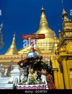 Shwedagon pagoda, stupa dorato con golden chedis, Santuario di mercurio, Rangun, Regione di Yangon, MYANMAR Birmania Foto Stock