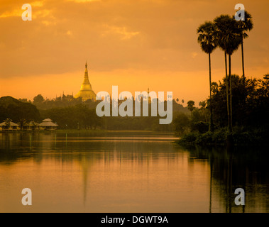 Il lago Kandawgyi con Shwedagon pagoda al crepuscolo, Rangun, Regione di Yangon, MYANMAR Birmania Foto Stock