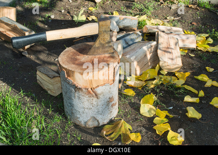 Ax trinciatura di legno sul blocco di trinciatura. Foglie di autunno Foto Stock