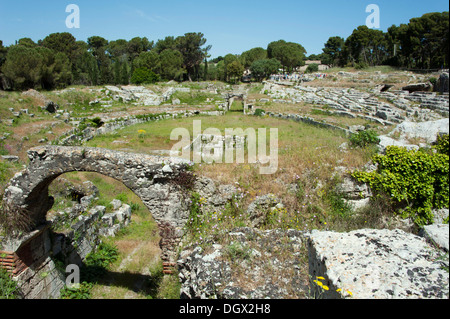 Anfiteatro romano, il Parco Archeologico della Neapolis, Siracusa Siracusa, Sicilia, Italia, Europa Foto Stock