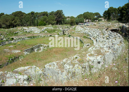 Anfiteatro romano, il Parco Archeologico della Neapolis, Siracusa Siracusa, Sicilia, Italia, Europa Foto Stock