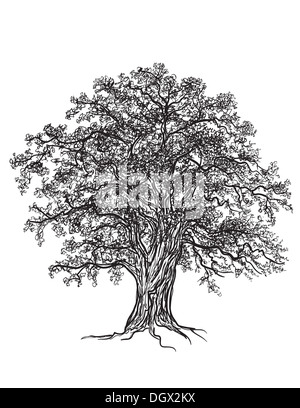 In bianco e nero di quercia con foglie. Disegnato con Illustrator spazzole del Foto Stock