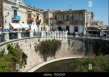 Font di Arethusa con il papiro, Siracusa Siracusa e Ortigia, Isola di Ortigia, Sicilia, Italia, Europa Foto Stock