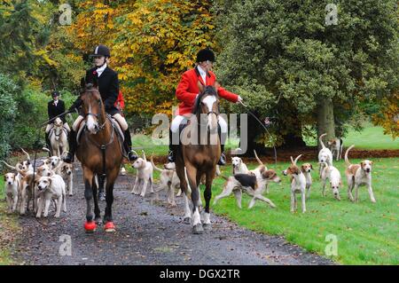 Houston, Renfrewshire, Scotland, Regno Unito. Lanarkshire & Renfrewshire Foxhounds si riuniscono per il primo caccia della stagione nella motivazione della casa di Houston. Foto Stock