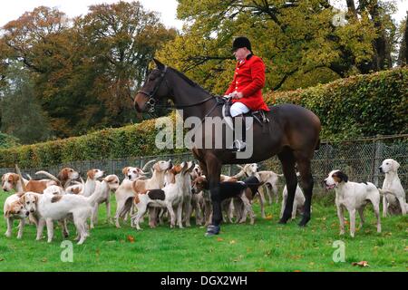 Houston, Renfrewshire, Scotland, Regno Unito. 26/10/2013. Lanarkshire & Renfrewshire Foxhounds si riuniscono per il primo caccia della stagione nella motivazione della casa di Houston, Renfrewshire Alamy Live News Foto Stock