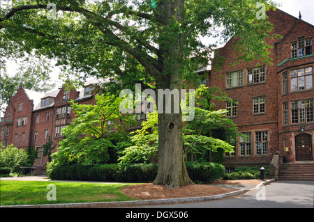 Rockefeller Hall, Mount Holyoke College, South Hadley, Massachusetts, STATI UNITI D'AMERICA Foto Stock