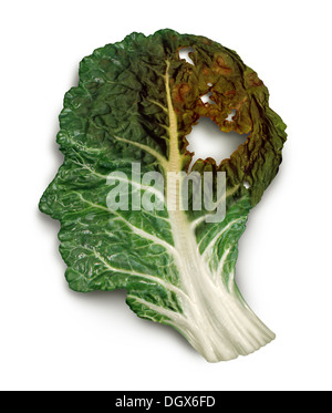 Il decadimento del cervello malattia con la perdita di memoria a causa di demenza e morbo di Alzheimer malattia o icona del cancro come un simbolo di medici di un cavolo verde Foto Stock