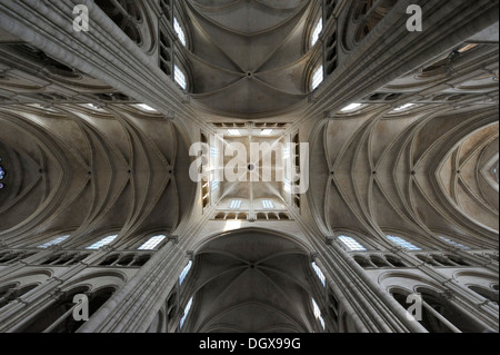 Archivio principale della cattedrale gotica di Reims, in Francia, in Europa Foto Stock