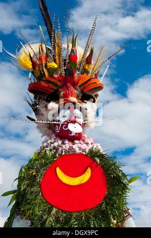 La donna in un colorato costume decorato con vernice di faccia al tradizionale sing-sing raccolta, Hochland, Mount Hagen Foto Stock