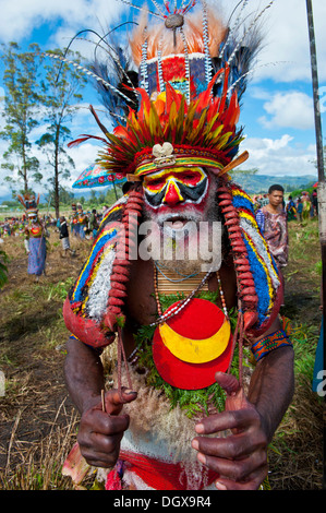 Uomo in un colorato costume decorato con vernice di faccia al tradizionale sing-sing raccolta, Hochland, Mount Hagen Foto Stock