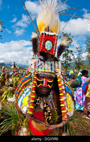 Uomo in un colorato costume decorato con vernice di faccia al tradizionale sing-sing raccolta, Hochland, Mount Hagen Foto Stock