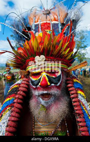 Uomo in un colorato costume decorato con vernice di faccia al tradizionale sing-sing raccolta, Hochland, Mount Hagen Foto Stock