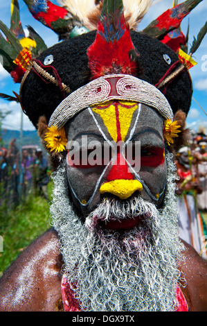 Uomo in un colorato costume decorato con vernice di faccia al tradizionale sing-sing raccolta, Hochland, Mount Hagen Foto Stock
