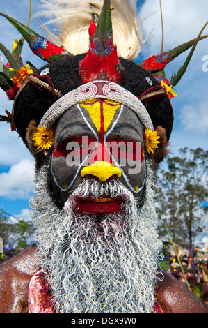 Uomo in un colorato costume decorato con vernice di faccia al tradizionale sing-sing raccolta, Hochland, Mount Hagen Foto Stock