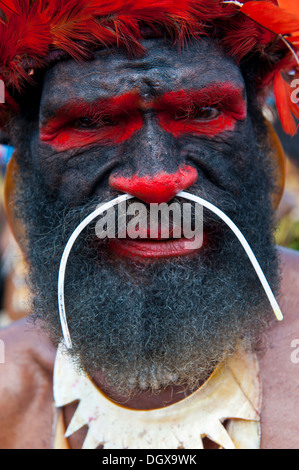 Uomo in un colorato costume decorato con vernice di faccia al tradizionale sing-sing raccolta, Hochland, Mount Hagen Foto Stock