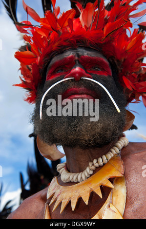 Uomo in un colorato costume decorato con vernice di faccia al tradizionale sing-sing raccolta, Hochland, Mount Hagen Foto Stock