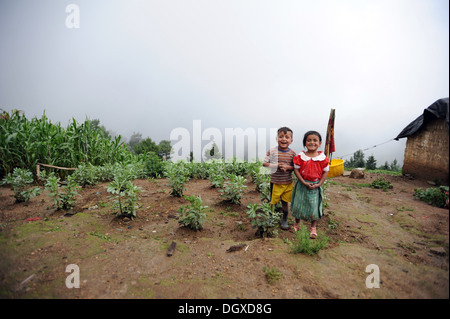 Maya bambini indigeni in Caserio Panuca, Solola, Guatemala. Foto Stock