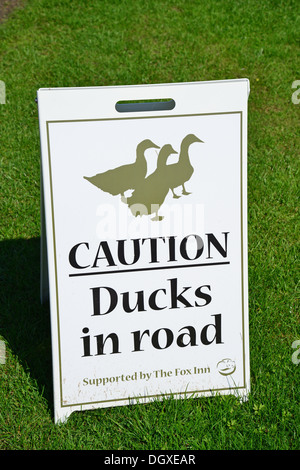 'Attenzione anatre in strada' segno sul verde, Finchingfield, Essex, Inghilterra, Regno Unito Foto Stock