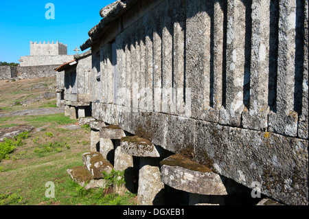 Espigueiros tradizionale, granaio, Lindoso, Panda Geres National Park, provincia del Minho, Portogallo Foto Stock