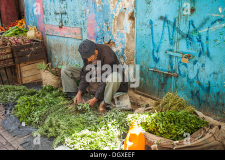 Uomo marocchino di erbe di vendita sulla strada di un souk di Rabat Foto Stock