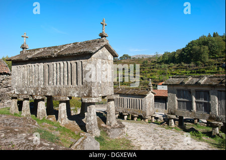 Espigueiros tradizionale, granaio, Lindoso, Panda Geres National Park, provincia del Minho, Portogallo Foto Stock