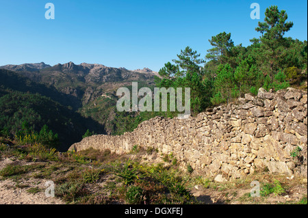 Panda Geres National Park, provincia del Minho, Portogallo Foto Stock