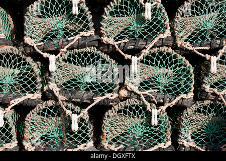 Cantre presso un porto delle Orkney Foto Stock