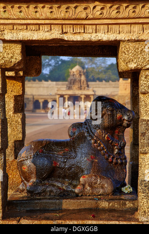 Nandi statua presso il Tempio Brihadeeswarar a Thanjavur Foto Stock