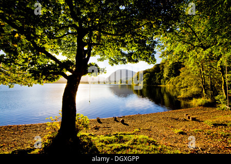 Loweswater litorale appena di fronte Holme Bothy legno Foto Stock