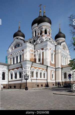 La Cattedrale Alexander Nevsky, Tallinn, Estonia, paesi baltici, Europa Foto Stock