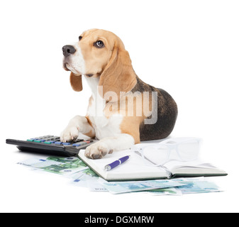 Business cane i nastri inchiostratori per macchine da scrivere su sfondo bianco Foto Stock