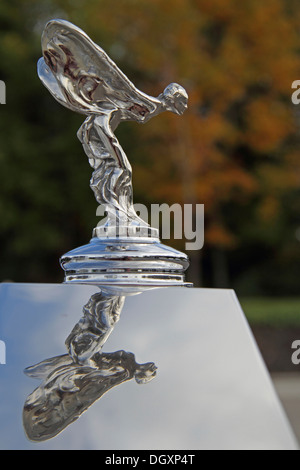 Emil, ornamento del cofano su una Rolls Royce, con una riflessione, classic car Foto Stock