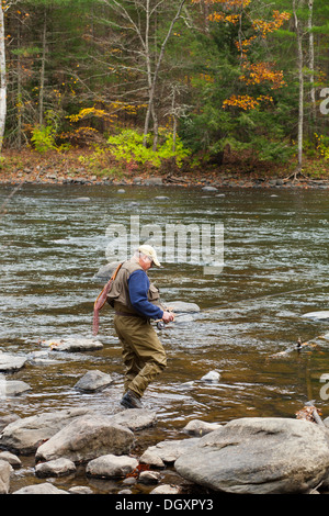 Anziano pescatore a mosca prende la sua strada lungo la costa rocciosa del fiume Housatonic nella contea di Litchfield, Connecticut. Foto Stock