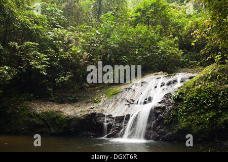 Cascata nella foresta pluviale tropicale di pianura del Borneo, Sabah, Borneo, Malesia Foto Stock