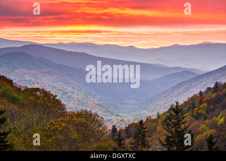 Autunno sunrise nelle Smoky Mountains National Park. Foto Stock