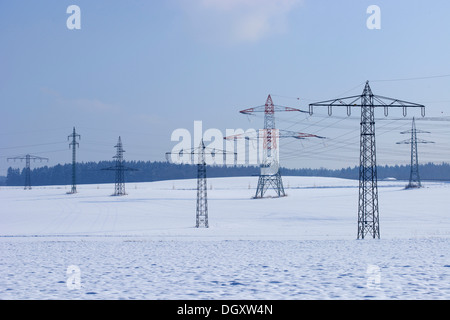 Tralicci in una coperta di neve paesaggio invernale, Starnberg, Unterbrunn, Alta Baviera, Baviera, Germania Foto Stock