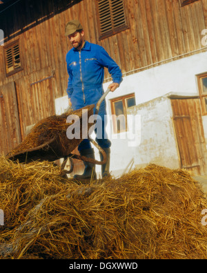 L'agricoltore lo svuotamento di una carriola con concime sul mucchio di letame Foto Stock