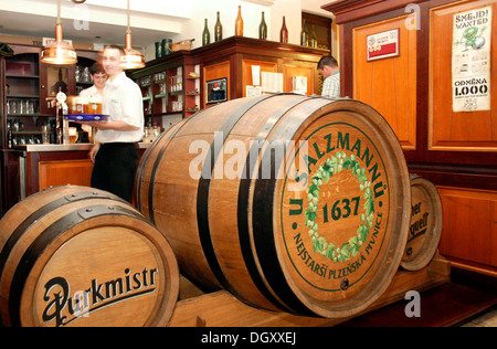 Ingresso della famosa taverna e bierkeller U Sulzmannu, da dove la fama della famosa birra Pilsner ha preso la sua leggendaria Foto Stock