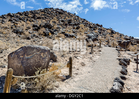 Petroglyph mesa a punto il sentiero in Boca Negra Canyon sezione del Petrogrlyph Monumento Nazionale di Albuquerque, Nuovo Messico, STATI UNITI D'AMERICA Foto Stock