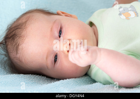 Little Baby girl guardando la sua mano concentrando Foto Stock