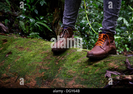 Colpo di una donna di scarpe in piedi su un lungo albero log a Santa Elena di riserva biologica Foto Stock