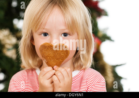 Un ragazzo simpatico odore di una forma di amore gingerbread cookie nella parte anteriore di un albero di Natale. Isolato su bianco. Foto Stock